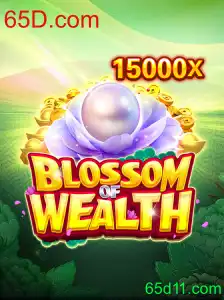 Descubra o Fascinante Mundo de BlossomofWealth e 65D.com